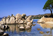 探索天涯论坛情感社区——那些温暖的瞬间